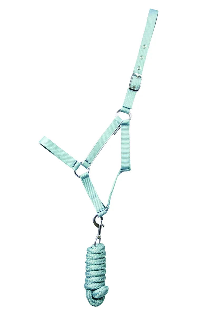 Hy Equestrian Synergy Head Collar and Lead Rope - Aqua/Silver